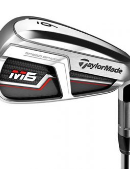 TaylorMade M6