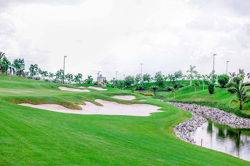 Tân Sơn Nhất Golf Course sử dụng loại cỏ Paspalum Platinum, phù hợp với đặc điểm đất của địa phương