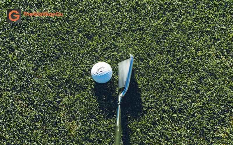 Các chuyên gia ngành golf và golfer đang rất quan tâm đến bộ gậy Ironset Paradym 2023 