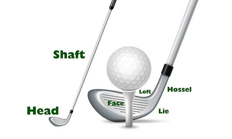 Head (đầu gậy) là bộ phận tiếp xúc với bóng golf