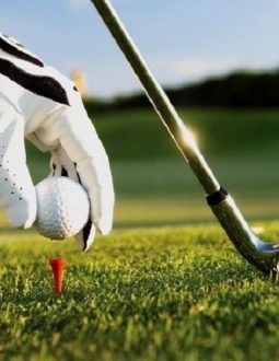 Golfer chỉ được sử dụng 1 loại bóng duy nhất trong suốt vòng thi đấu