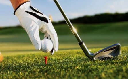 Golfer chỉ được sử dụng 1 loại bóng duy nhất trong suốt vòng thi đấu